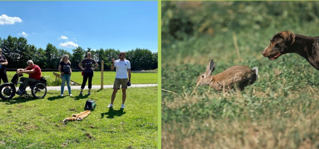 Intensiv Workshop und Anti-Jagd-Training 2