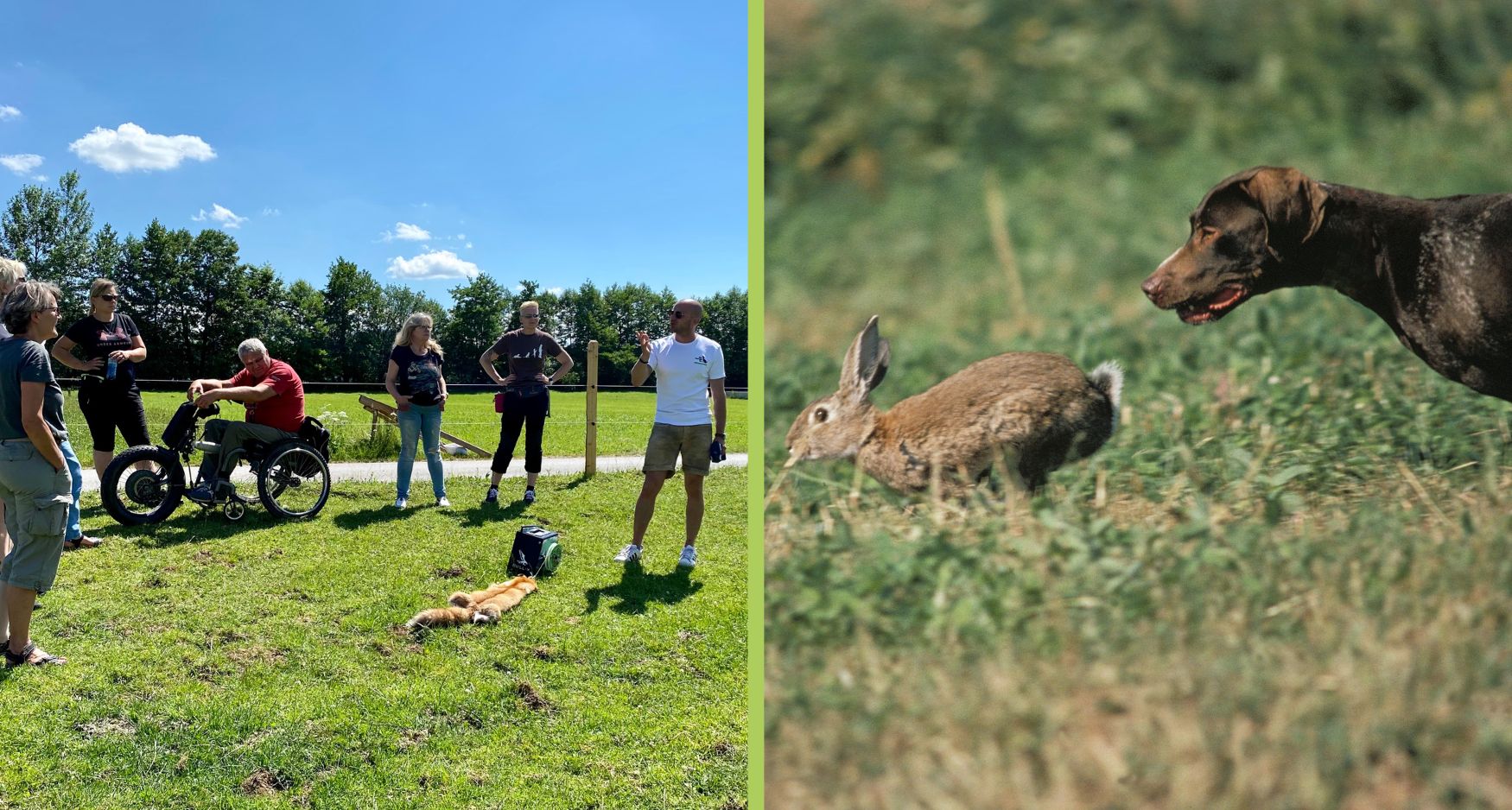 derhundeflo-workshops- Intensiv-anti-jagd-training